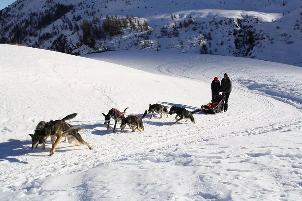 Dog sled ride - Allirand Jordi
